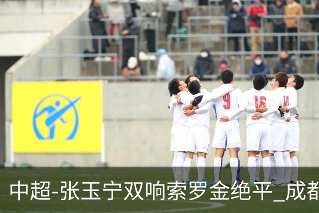 中超-张玉宁双响索罗金绝平 成都连扳两球2-2国安4连平
