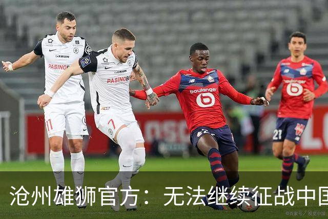 沧州雄狮官方：无法继续征战中国足球职业联赛