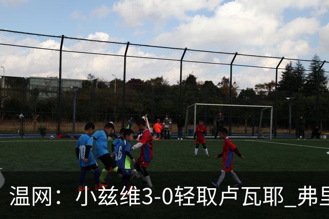 温网：小兹维3-0轻取卢瓦耶 弗里茨贝雷蒂尼挺进32强