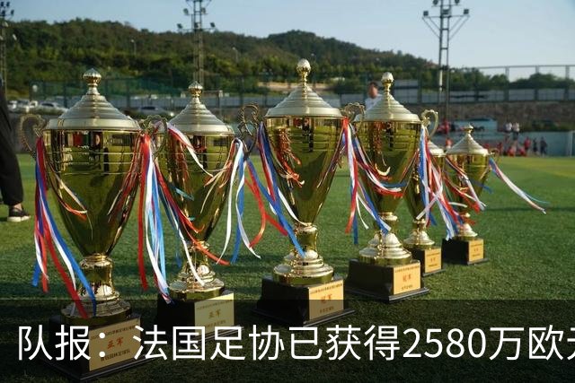 队报：法国足协已获得2580万欧元奖金，本届世界杯达到收支平衡