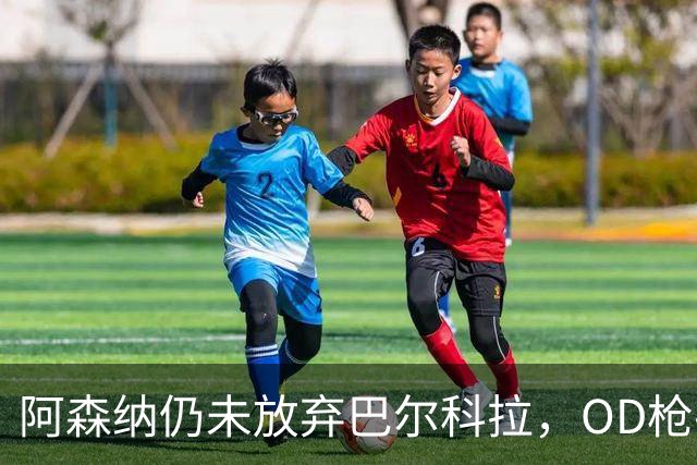 阿森纳仍未放弃巴尔科拉，OD枪手锋线补强计划迎来新目标